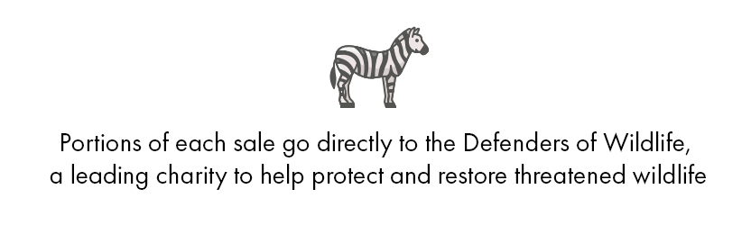 zebra_charity